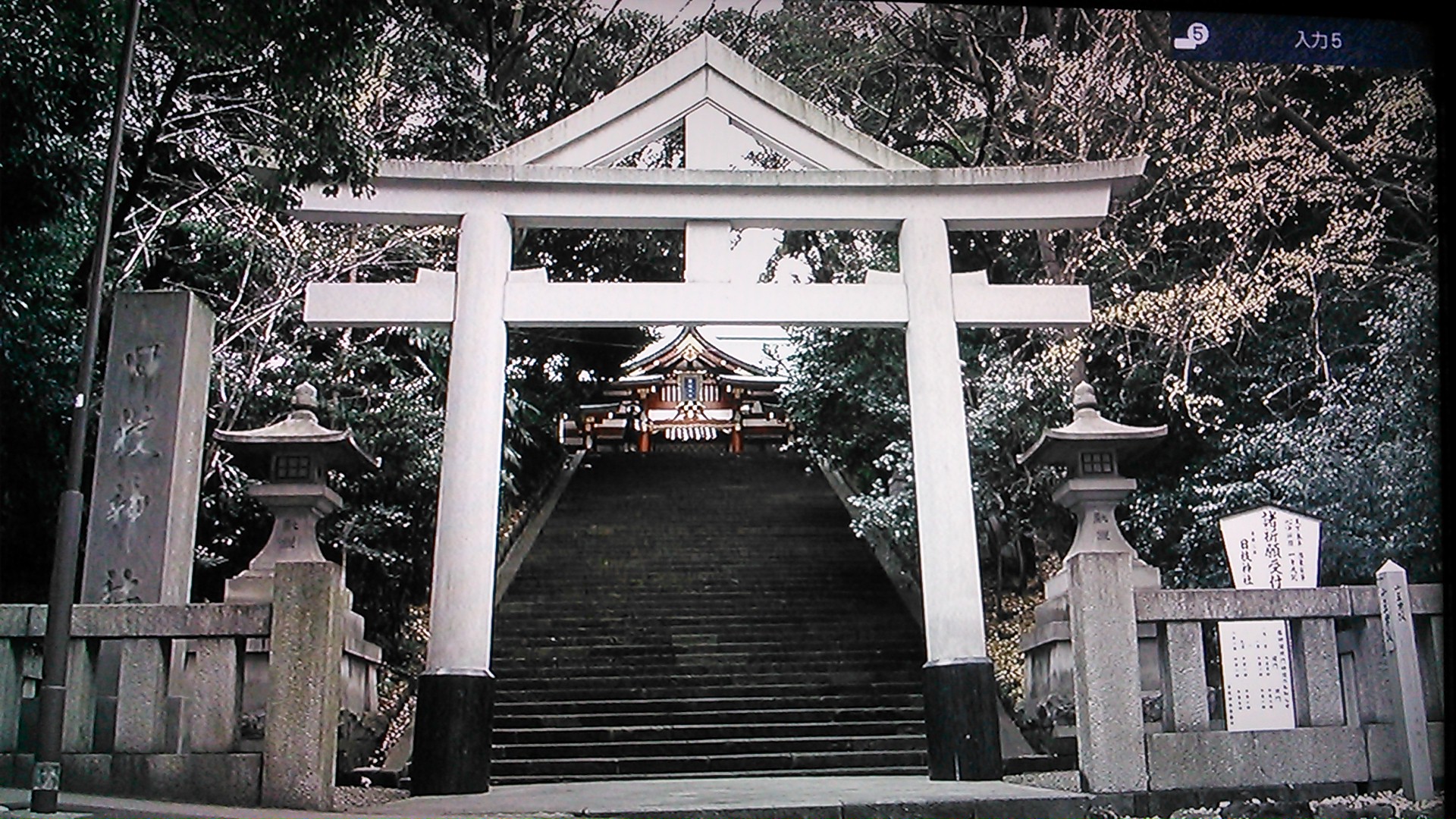 横浜キックボクシングジム　TSKjapan　日枝神社　紹介写真